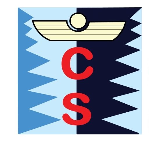 Logo ICOSALUD