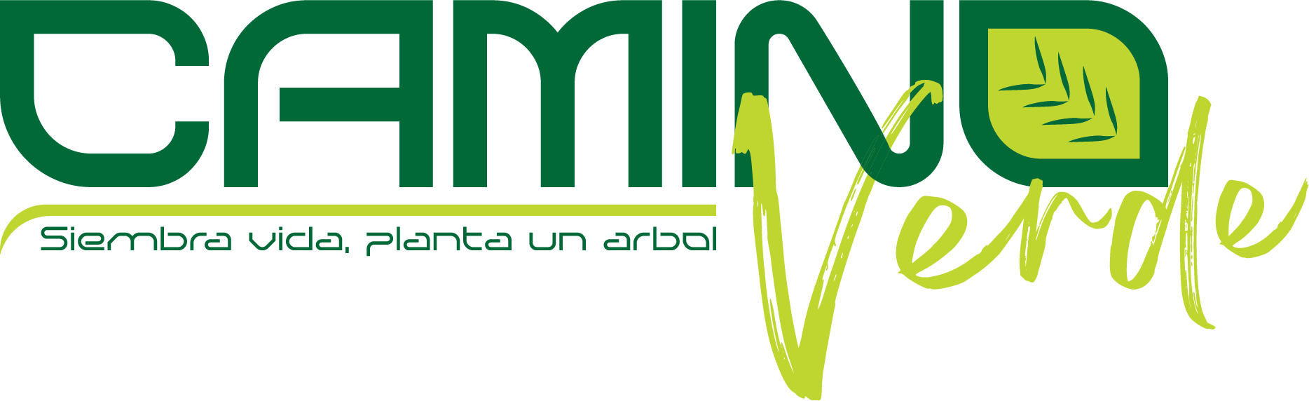 Recurso 1@4x 1