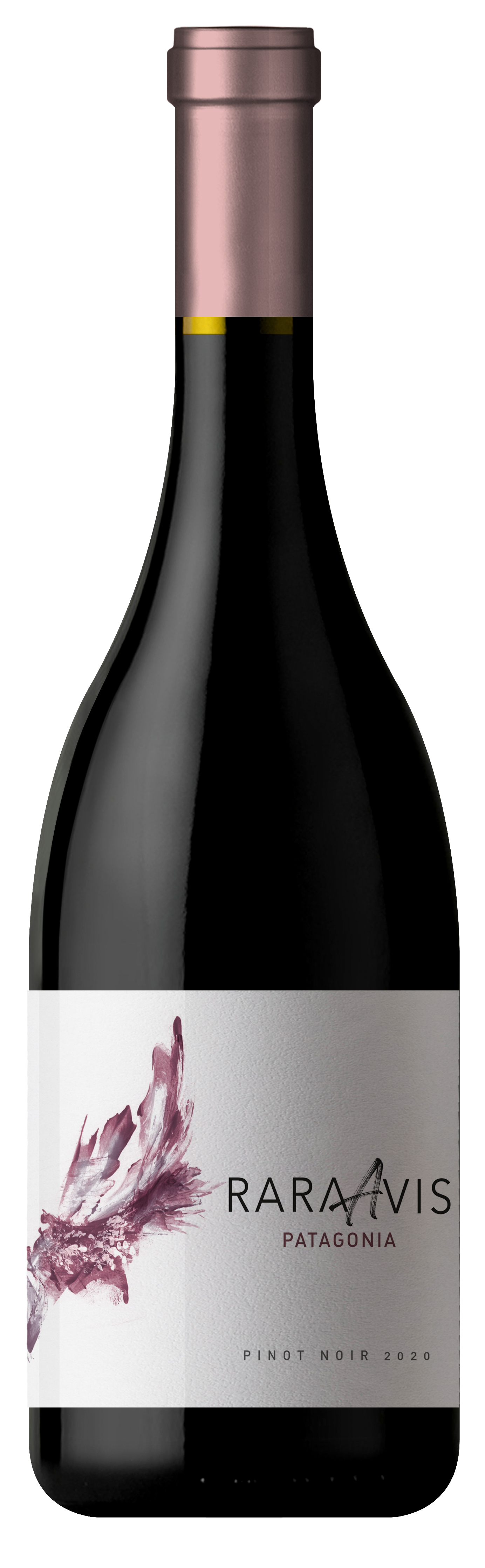 Vino 6 - Bodega Malma - Rara Avis - Pinot